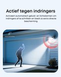 Schematische weergave van actieve afschrikking met licht en geluid tegen een indringer.