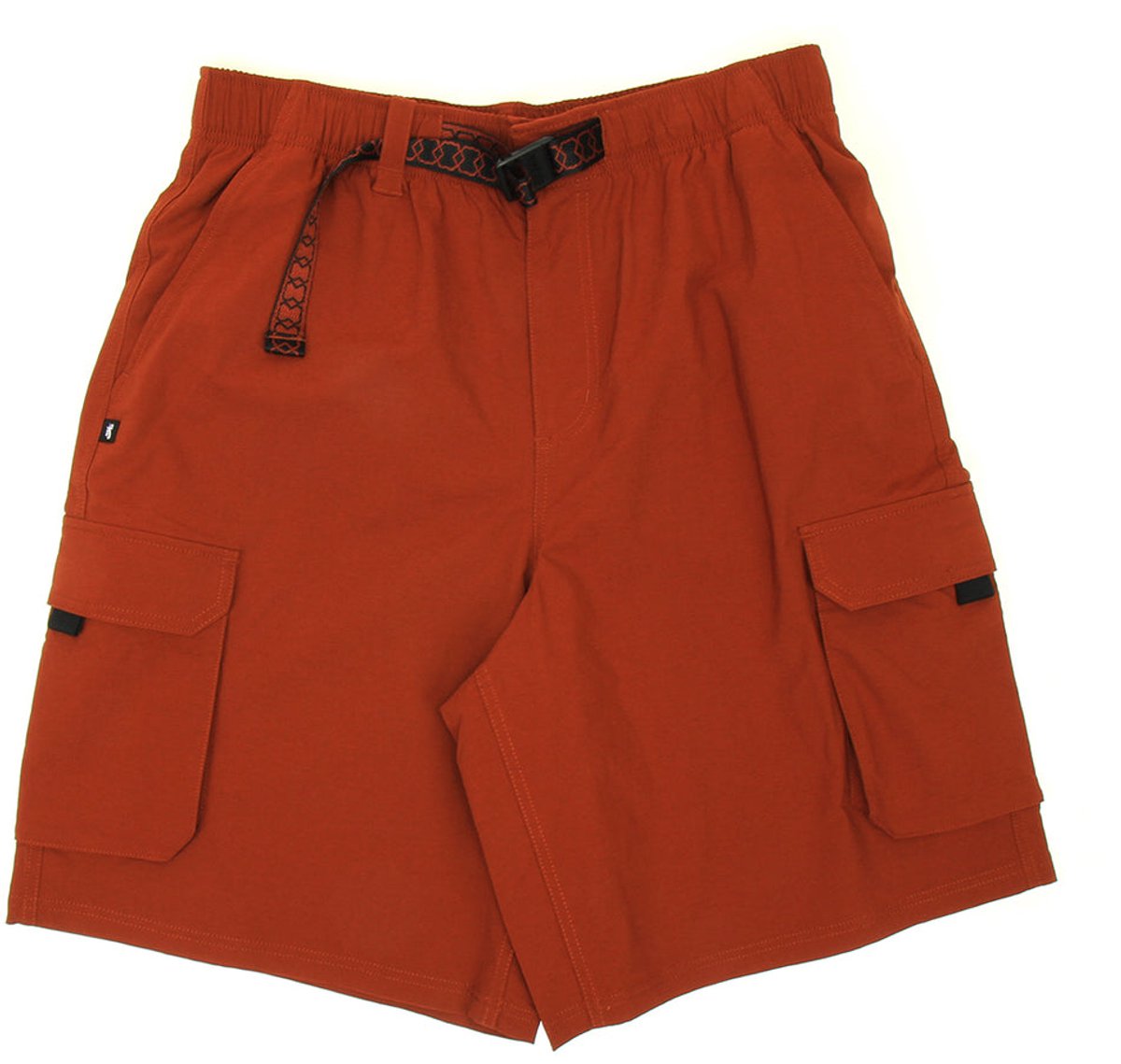 NikeSB Korte Broek Heren Bruin