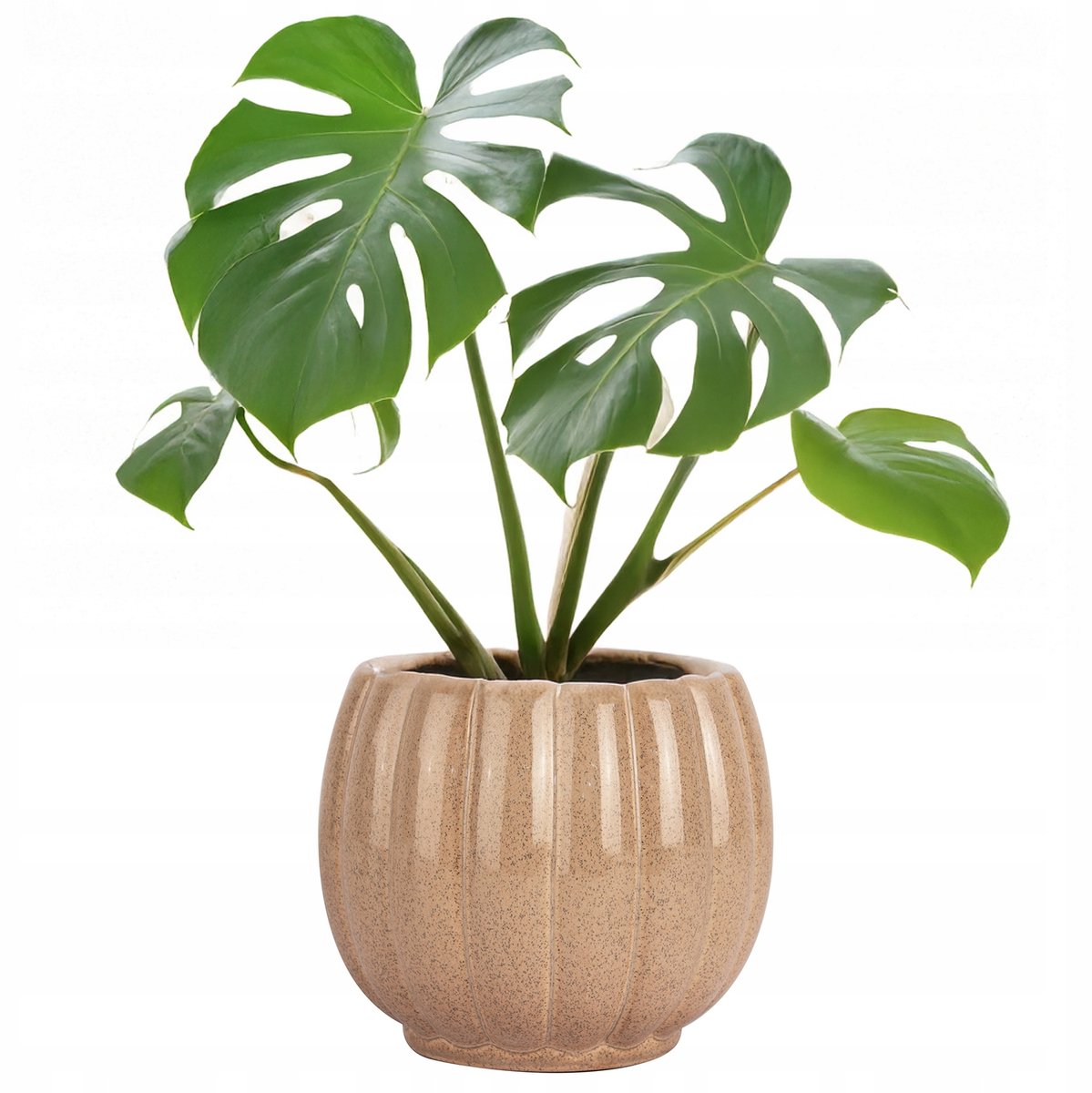 Merkloze beige keramische pot - 16 cm - Stijlvol en glanzend