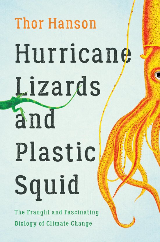 Hurricane Lizards and Plastic Squid - cover