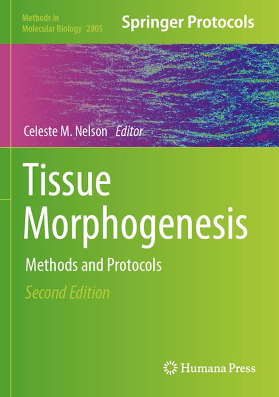 Methods in Molecular Biology2805- Tissue Morphogenesis - cover