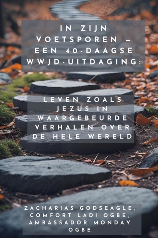De tekst op de afbeelding is: 'In Zijn Voetsporen - Een 40-daagse WWJD-uitdaging: Leven zoals Jezus in waargebeurde verhalen over de hele wereld'. Een stenen pad leidt door herfstbladeren.