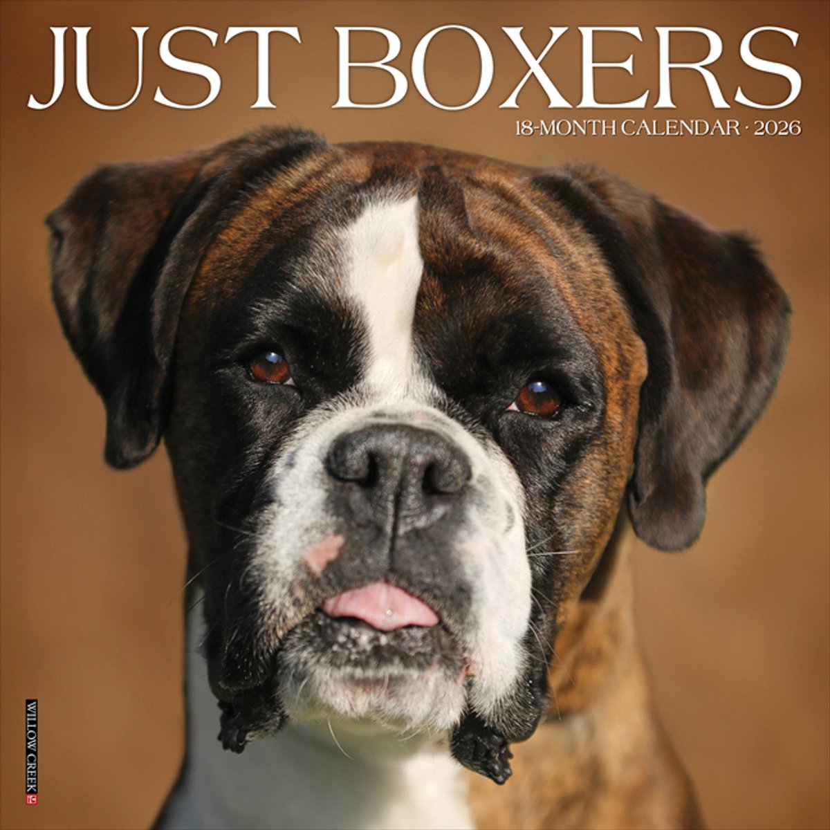 Boxer Kalender 2026