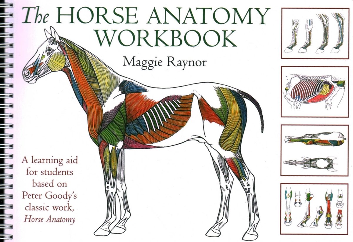 Omslag van Horse Anatomy Workbook