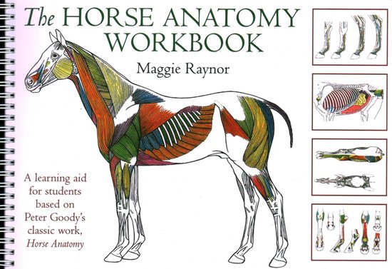 Horse Anatomy Workbook - cover