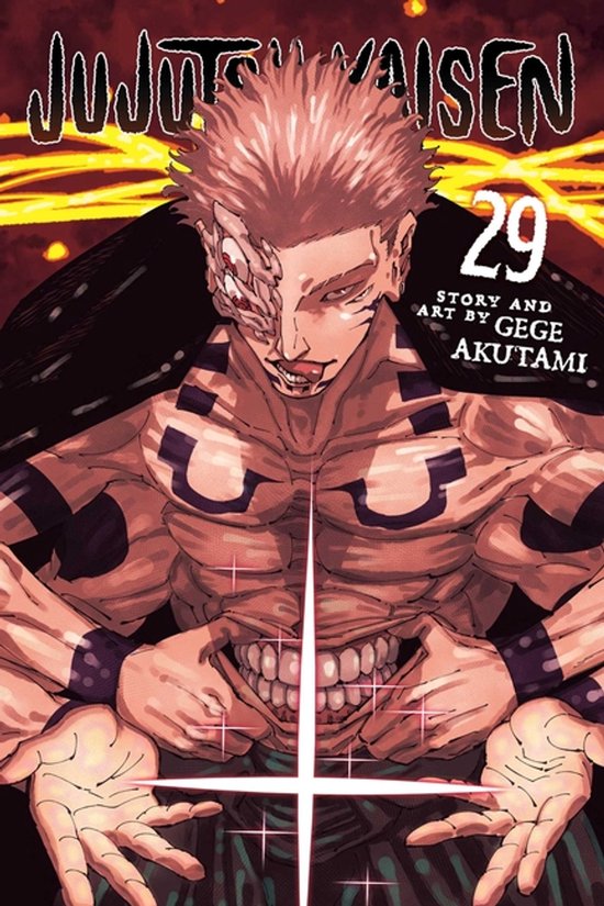 Jujutsu Kaisen- Jujutsu Kaisen, Vol. 29 - cover
