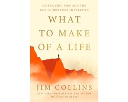 What to Make of a Life