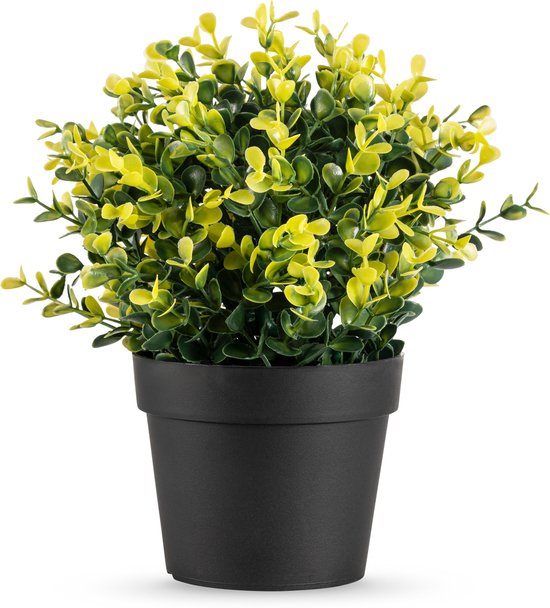 Plante artificielle Buxus jaune en pot 19 cm UV (pour intérieur et extérieur)