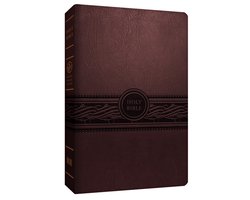 Personal Size Large Print Bible Mev