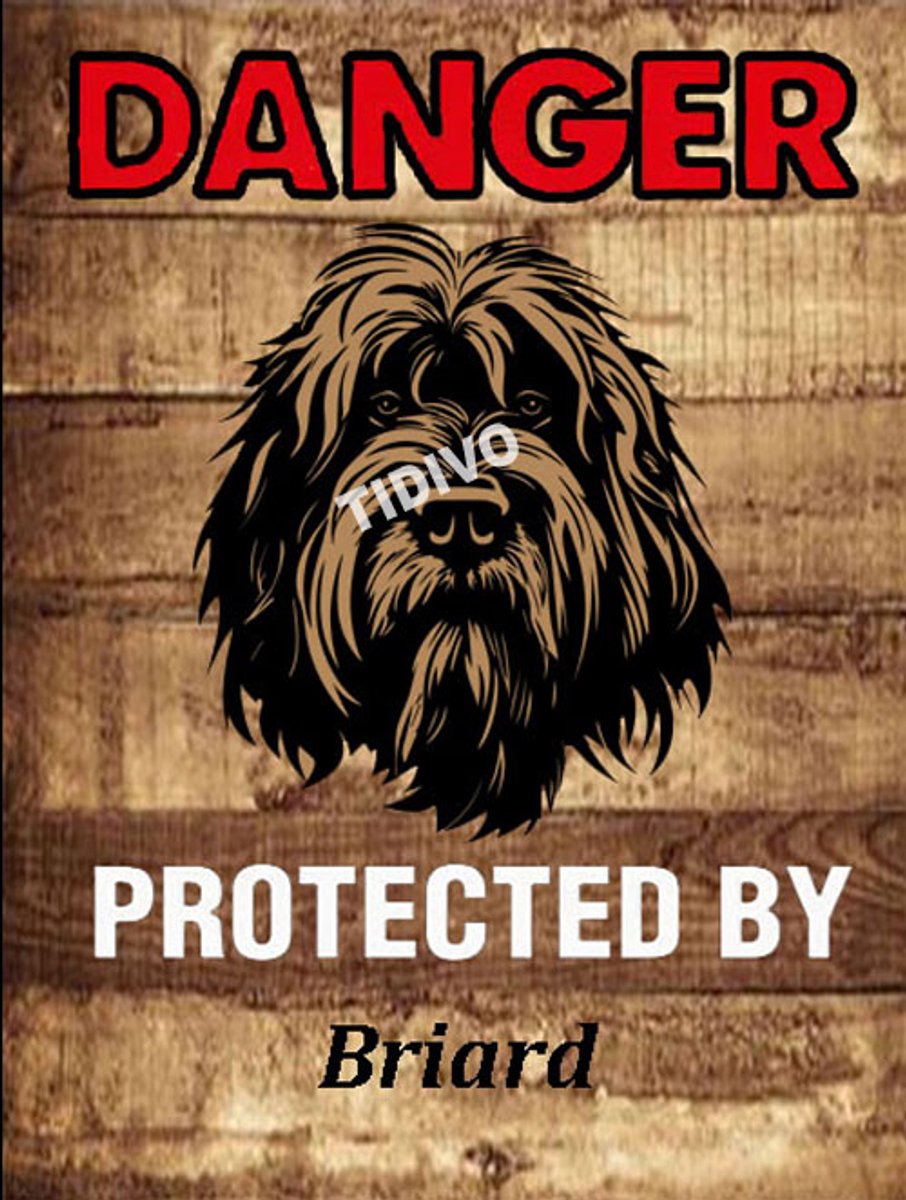 Briard 19