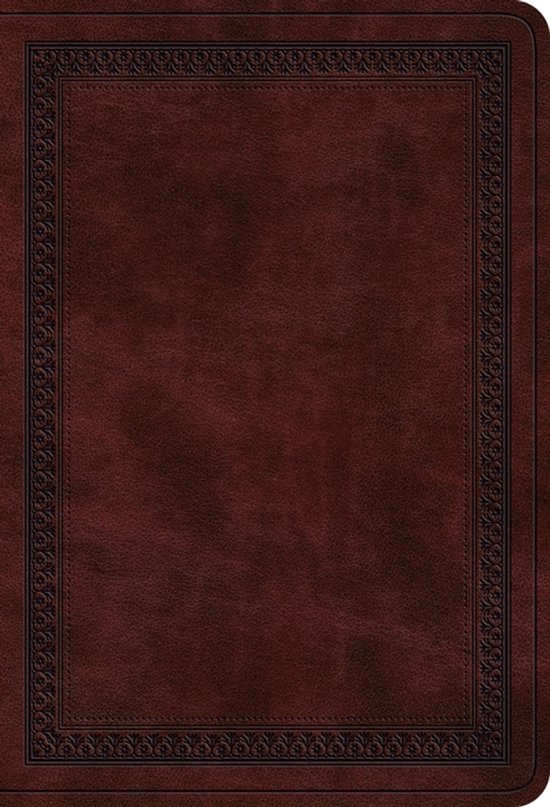 ESV Value Large Print Compact Bible