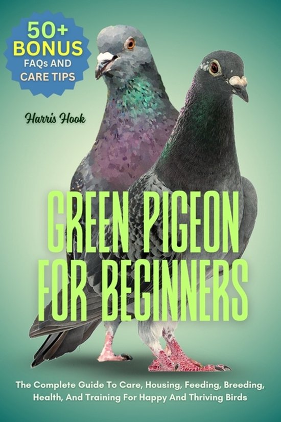 Green Pigeon for Beginners
