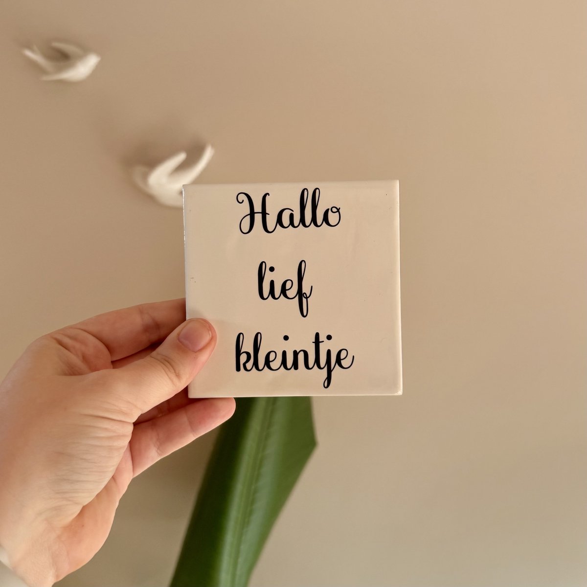 Wij & Blij - Hallo lief kleintje - beige - tegeltje - geboorte - baby - cadeau - spreuktegel - welkom -
