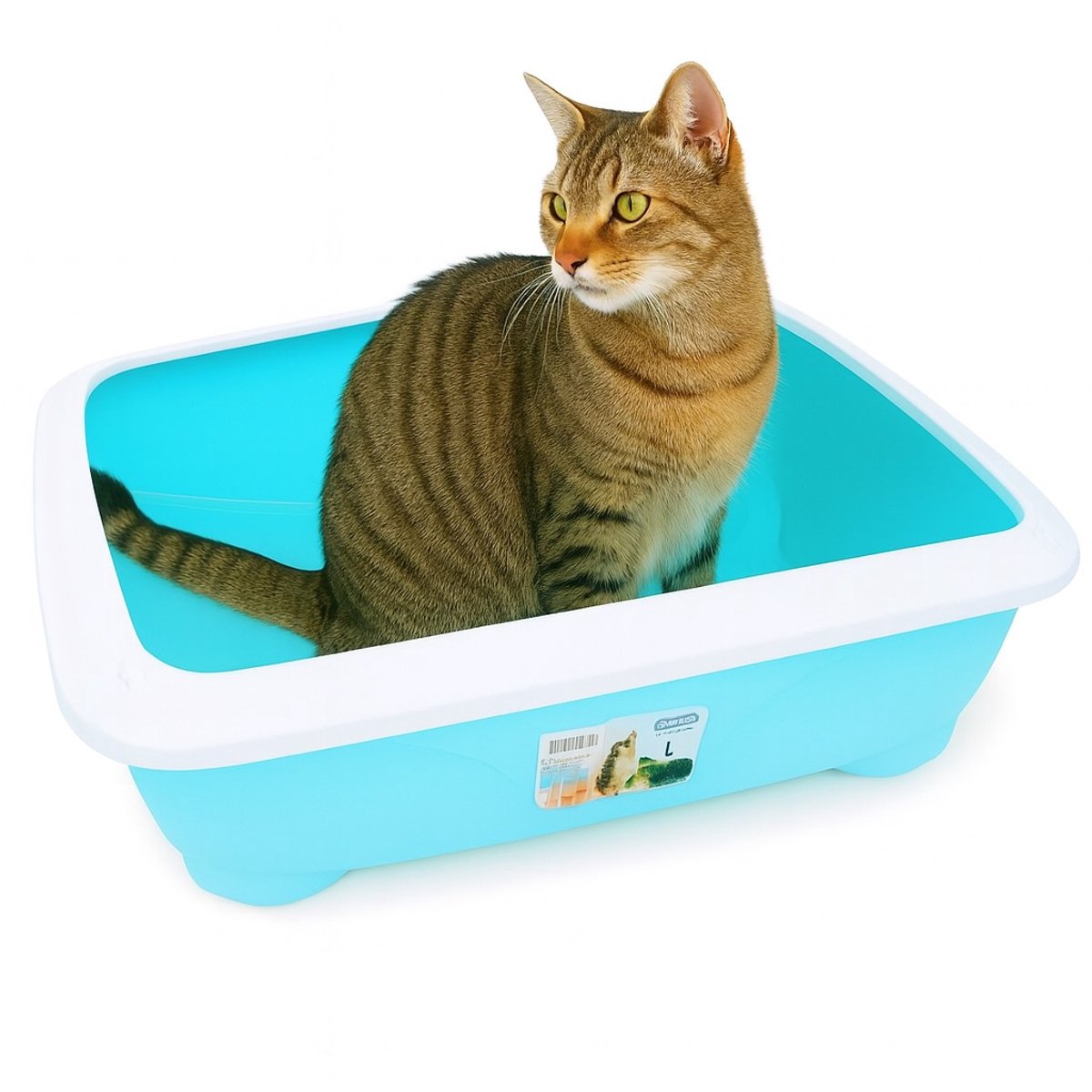 Nobleza Kattenbak groot - Maat L - 57x45x19 cm - Kattentoilet met spatrand - Grote open kattenbak - Blauw