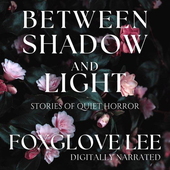 Between Shadow and Light - cover