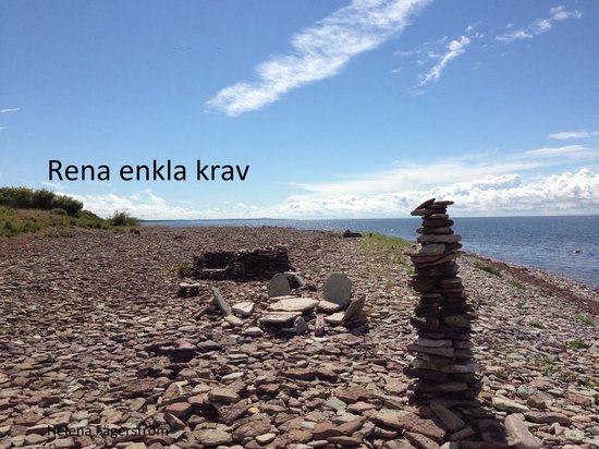 Rena enkla krav - cover