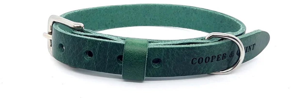 Cooper & Quint No Fuss - Halsband Hond - Leren Halsband Hond - Groen - Zilver - S