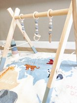 Zoek je een babygym? | Bij speelgoedwinkel Planet Happy Zoek je een babygym? | Bij speelgoedwinkel Planet Happy