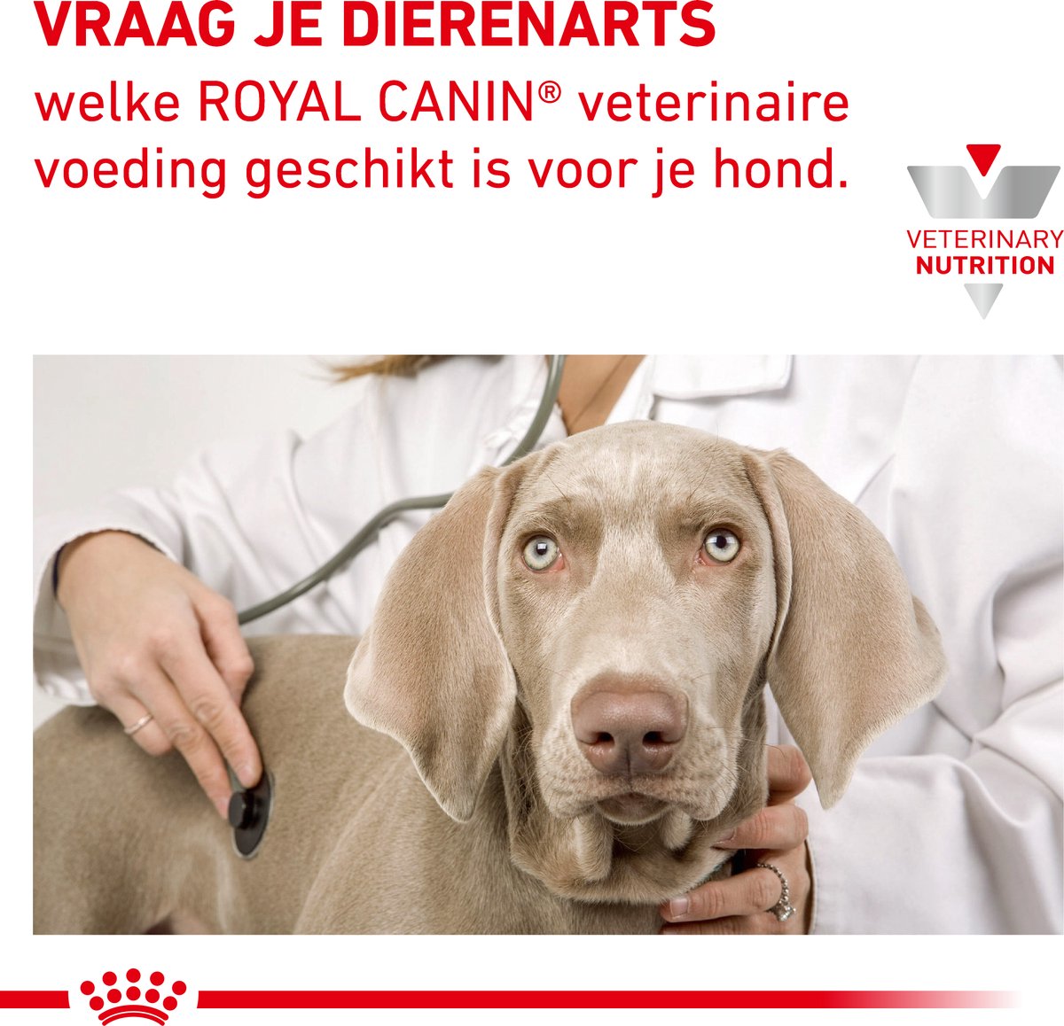 Royal Canin - Hypoallergenic Hondenvoer thumbnail 5