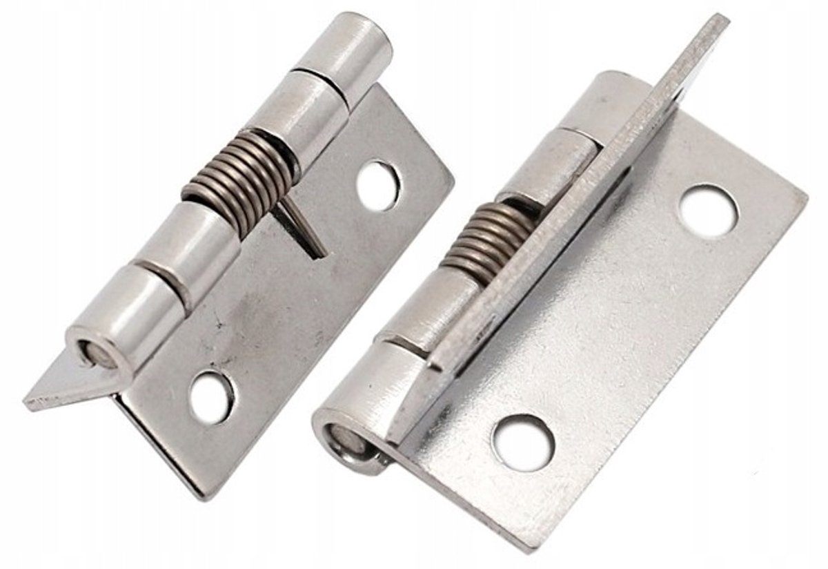 RVS Scharnier met Veer - 38x1.5mm - Zelfsluitend