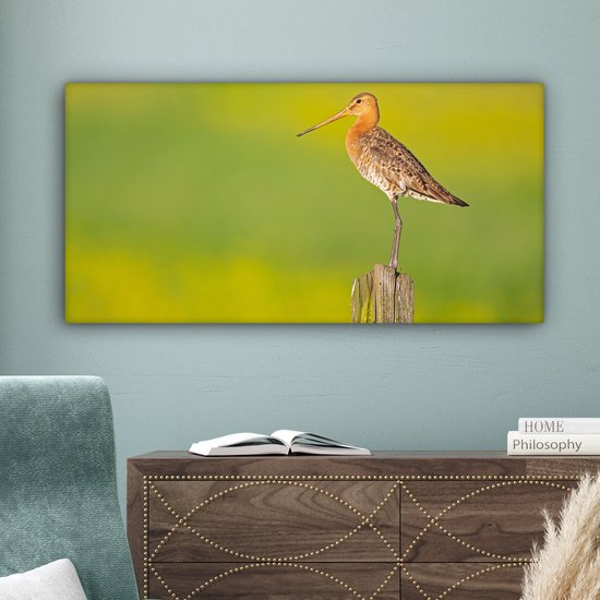 Toile - Tableau - Vogel - Animaux - Barge à queue noire - Perche - Vert - Peintures sur toile - Photo sur toile - 80x40 cm - Décoration murale - Salon