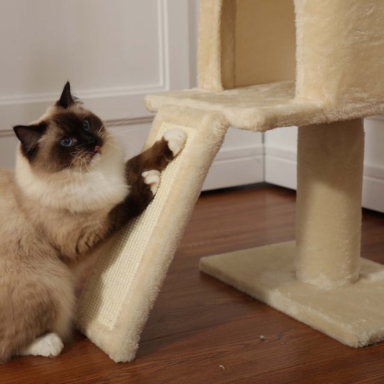 Ragdoll poes krabt aan hellend sisal plateau van beige kattenboom.