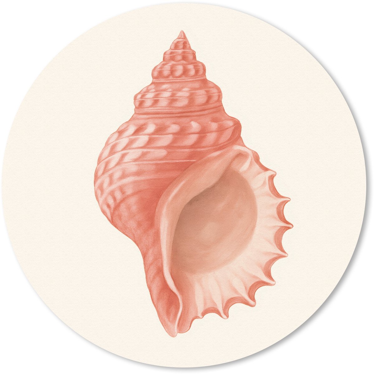 Muismat rond 30x30 cm - Mousepad Schelp - Roze - Structuur - Ronde muismatten