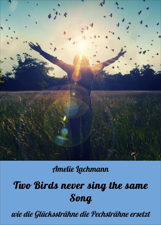 Two Birds never sing the same Song - cover