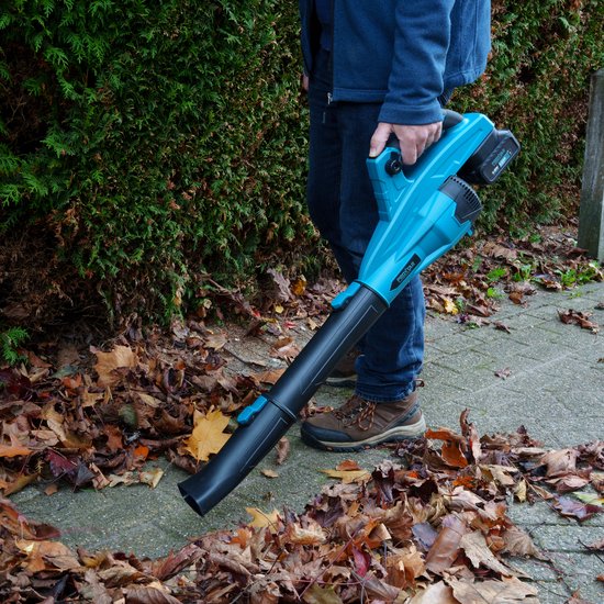 ProXtar Accu Bladblazer - Lichtgewicht en Krachtig - Compact en Draadloos - Inclusief Oplader en 2× 4000 mAh Accu’s van Merkloos	 — afbeelding 5