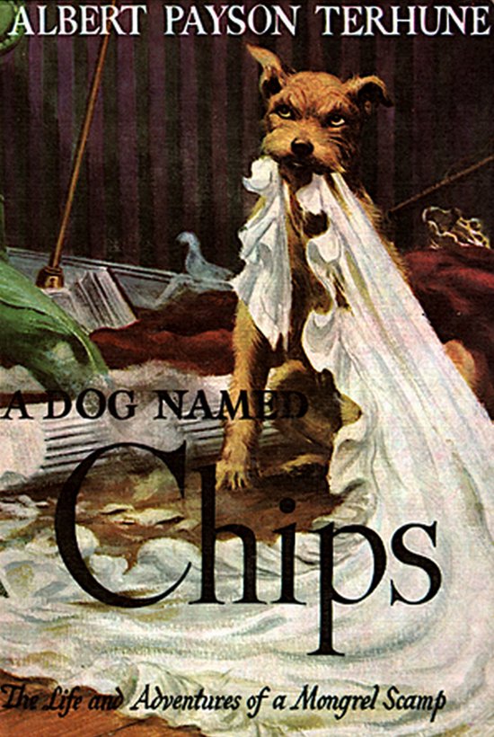 A Dog Named Chips: The Life and Adventures of a Mongrel Scam ... - cover