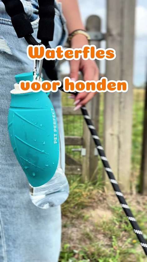 Drinkfles Hond - Waterfles Voor Onderweg - Honden drinkbus - 550ml - Blauw
