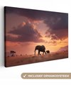 Éléphants - Prairie - Coucher de soleil