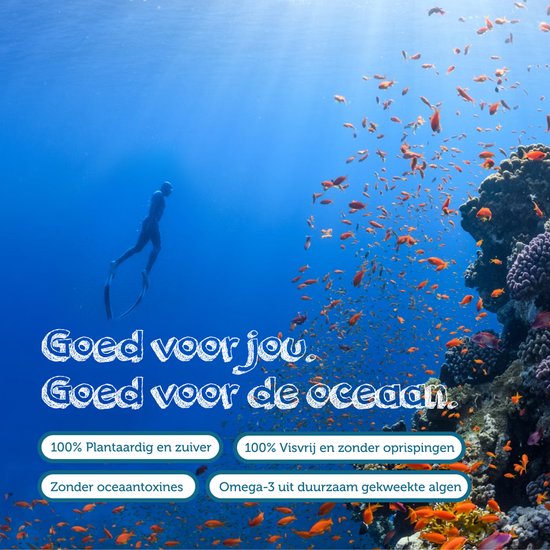 Testa Omega-3 Algenolie - Hoogste concentratie DHA & EPA - Vegan Omega 3 - 60 Capsules - Plantaardig Voedingssupplement