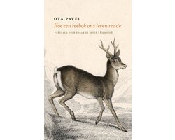 Omslag van Hoe een reebok ons leven redde