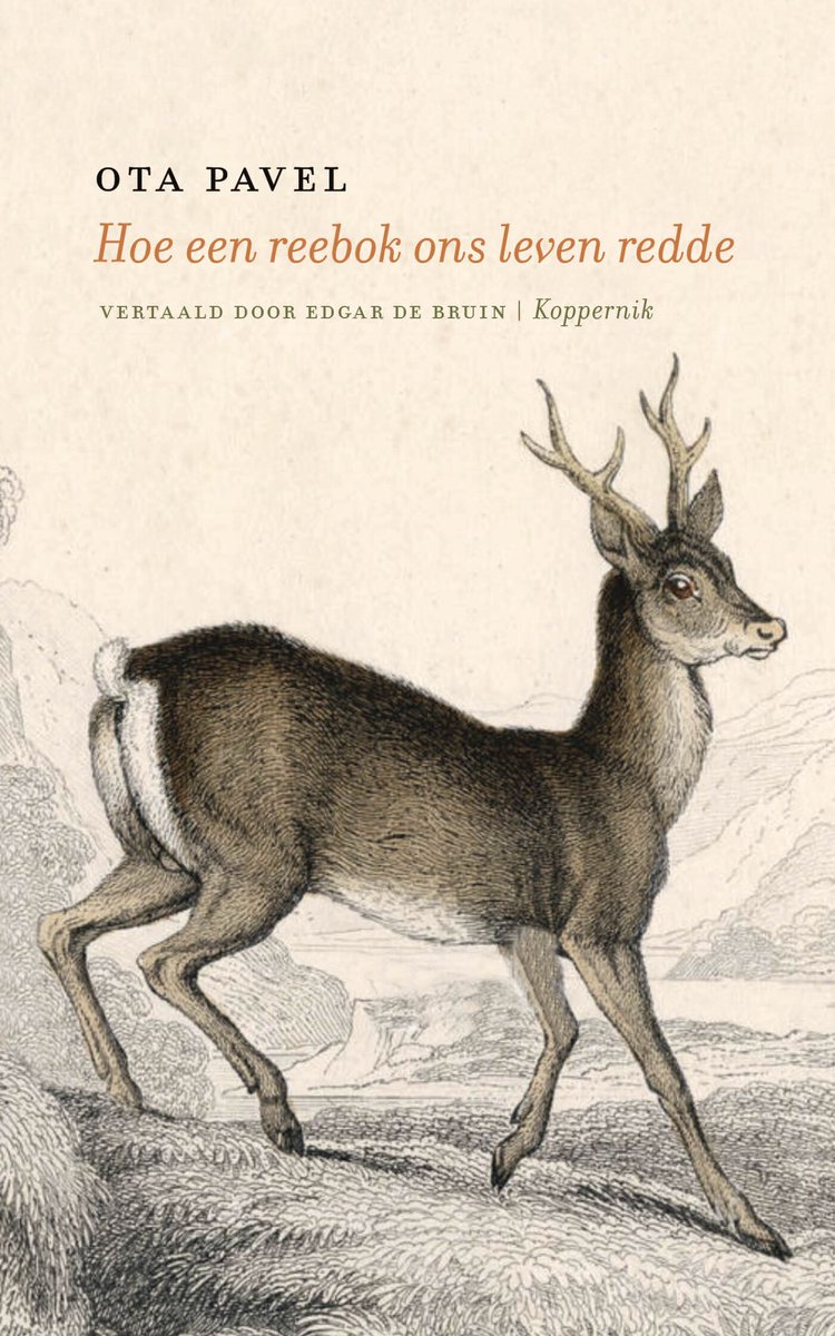 Omslag van Hoe een reebok ons leven redde