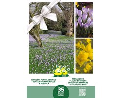 Cadeauverpakking Mengsel Verwilderingsbollen Boerencrocus & Bostulp - 35 bloembollen in 2 soorten