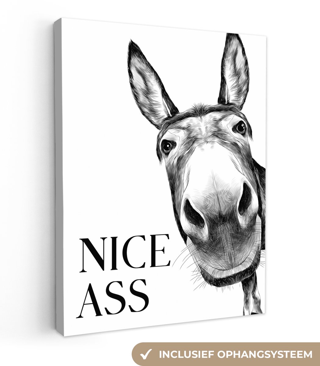 Canvas schilderij 60x80 cm - Wanddecoratie badkamer Quote - Ezel - Dieren - Nice ass - Spr