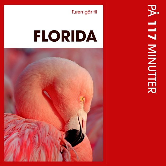 Turen går til Florida på 117 minutter - cover