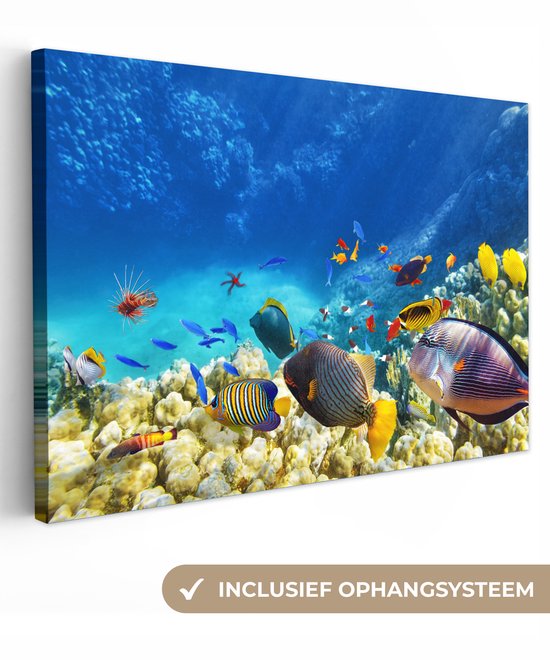 Peintures sur Toile Mer - Poisson - Corail - Monde Sous Marin - 60x40 cm - Décoration murale