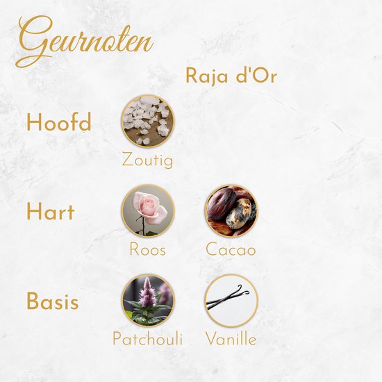 Illustratie van de geurnoten: zout, roos, cacao, patchouli en vanille.
