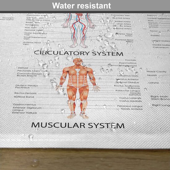 New de 4 Biologie de table à manger, motif dessin animé Vintage , lavables et antidérapants .