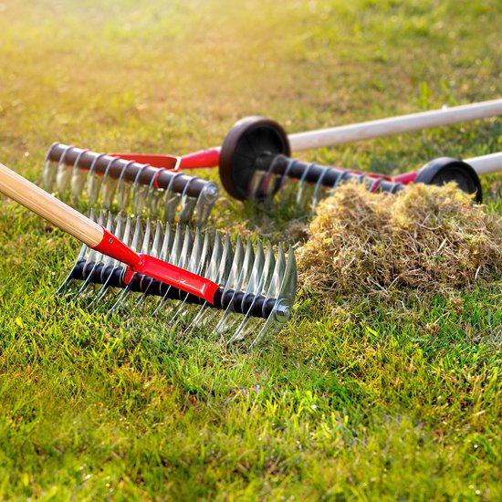 KADAX Gazonventilator, handmatige verticuteermachine voor tuin, gazon, mos, tuingereedschap van metaal, snijdrek, cultivator, gazonbeluchter, handverticuteermachine (tweezijdig, met steel) van Merkloos	 — afbeelding 5