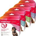 Beaphar Fiprotec-dozen voor honden van verschillende groottes: 2-10 kg, 20-40 kg en 40-60 kg, elk met een hond op de voorkant.