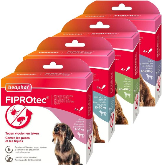 Beaphar Fiprotec-dozen voor honden van verschillende groottes: 2-10 kg, 20-40 kg en 40-60 kg, elk met een hond op de voorkant.
