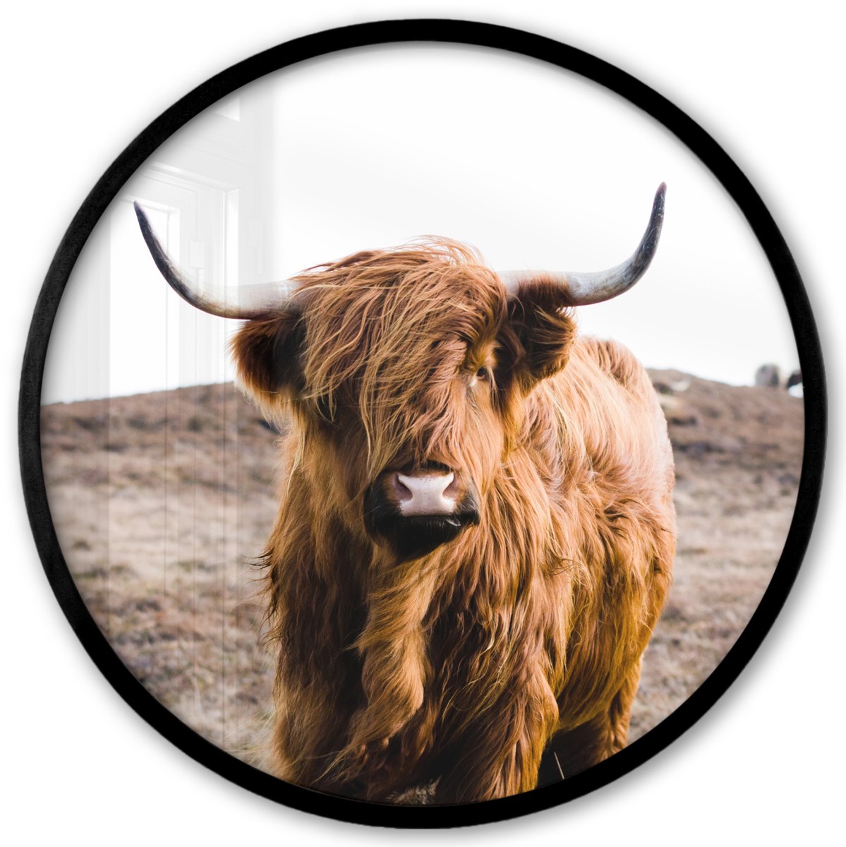 FrameYourWall Poster in lijst Rond - Fotolijst 40x40 cm - Posters - Schotse hooglander - Landschap - Koe - Bruin - Dieren - Natuur - Ronde posterlijst zwart - Decoratie - Wanddecoratie woonkamer - Muurdecoratie slaapkamer
