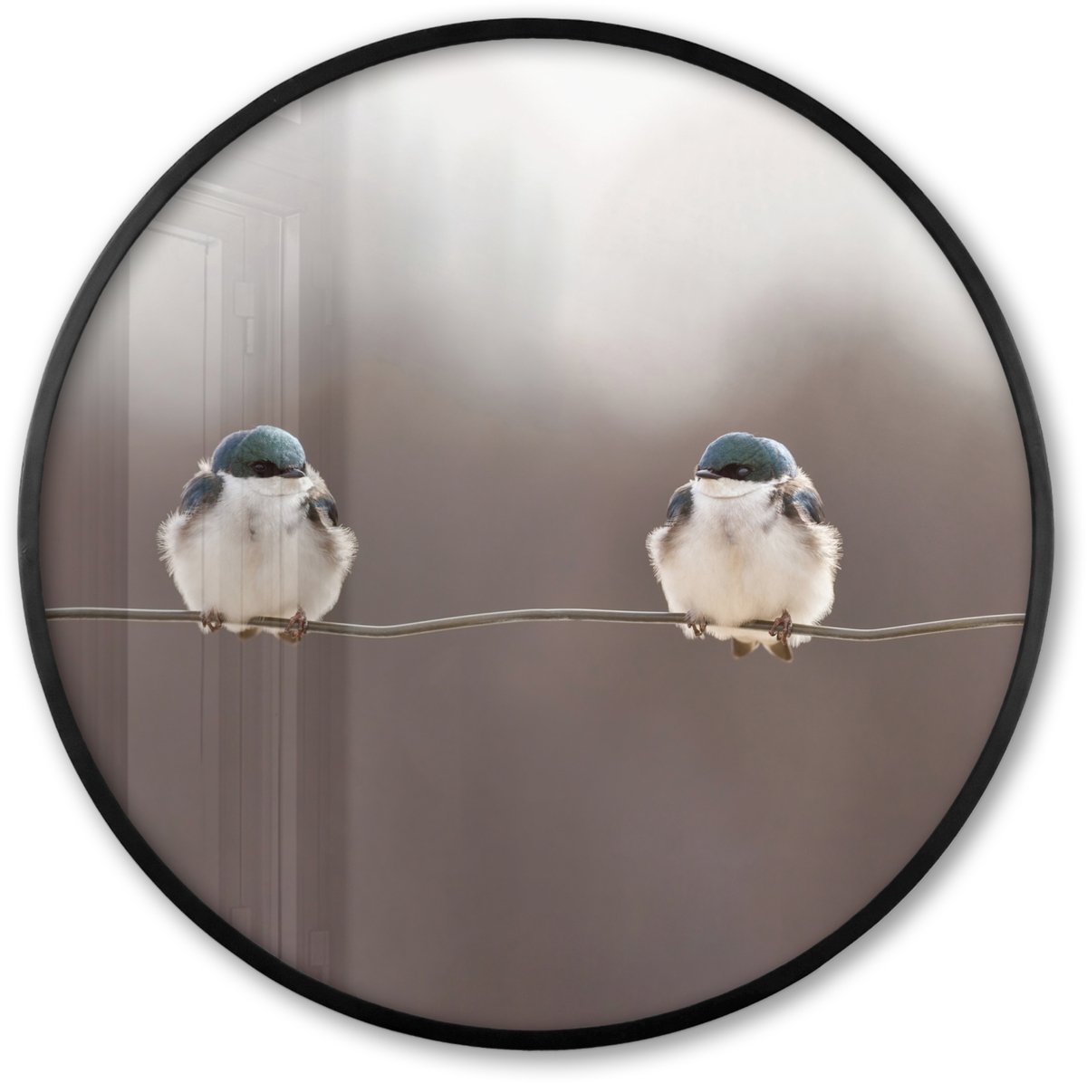 FrameYourWall Poster in lijst Rond - Fotolijst 80x80 cm - Posters - Vogels - Dieren - Draad - Portret - Ronde posterlijst zwart - Decoratie - Wanddecoratie woonkamer - Muurdecoratie slaapkamer Multicolor