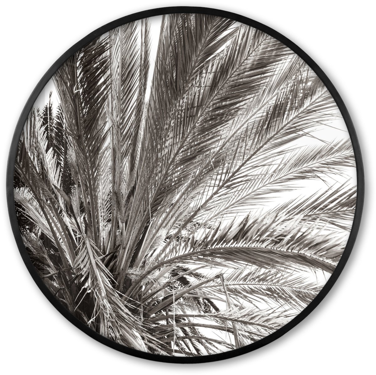 FrameYourWall Poster in lijst Rond - Fotolijst 60x60 cm - Posters - Palmboom - Tropisch - Zwart - Wit - Ronde posterlijst zwart - Decoratie - Wanddecoratie woonkamer - Muurdecoratie slaapkamer