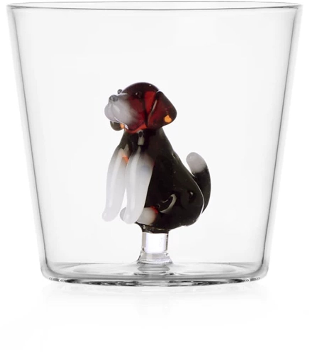 Ichendorf Dogs glas Engelse foxhond