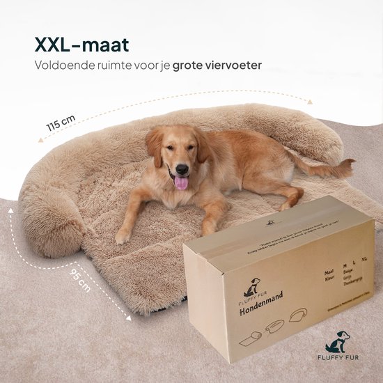 Golden retriever op een XXL hondenmand (115x95 cm) met een kartonnen doos ernaast.