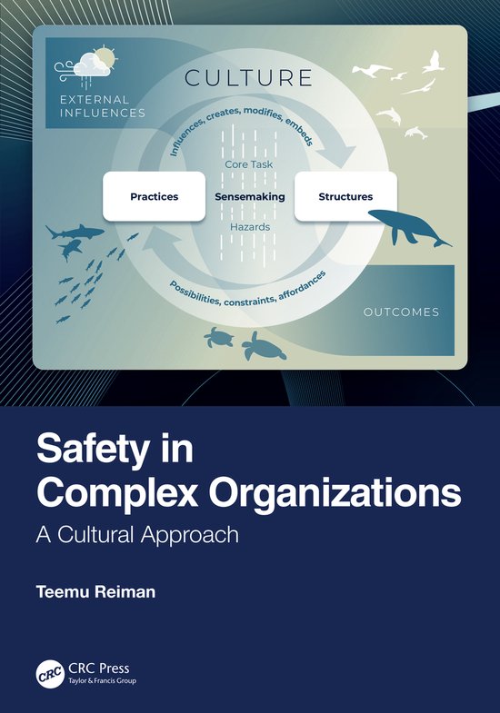 Safety in Complex Organizations - cover